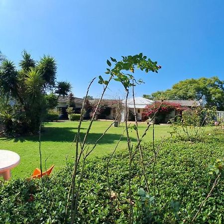 Blue Mango Lodge Kempton Park Extérieur photo