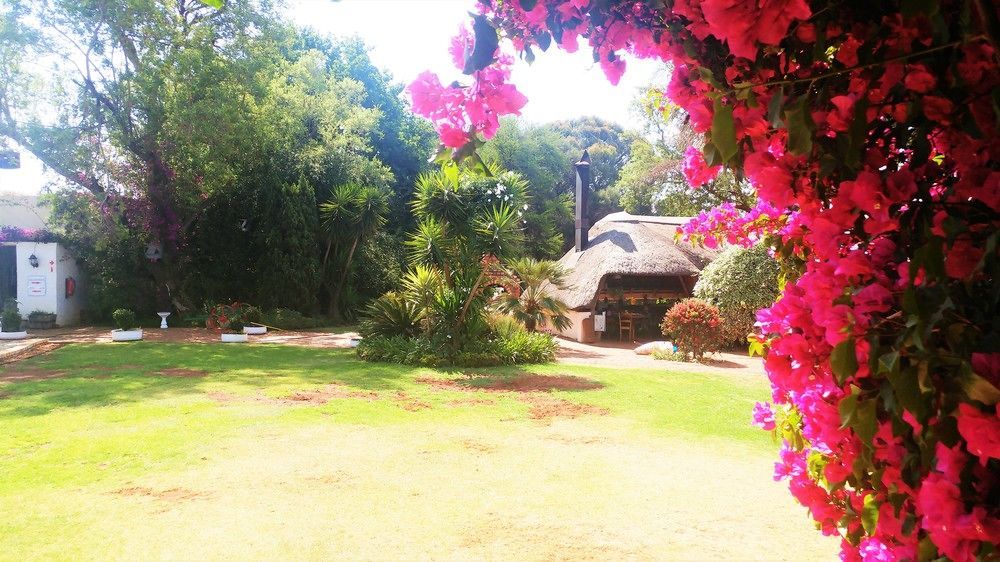 Blue Mango Lodge Kempton Park Extérieur photo