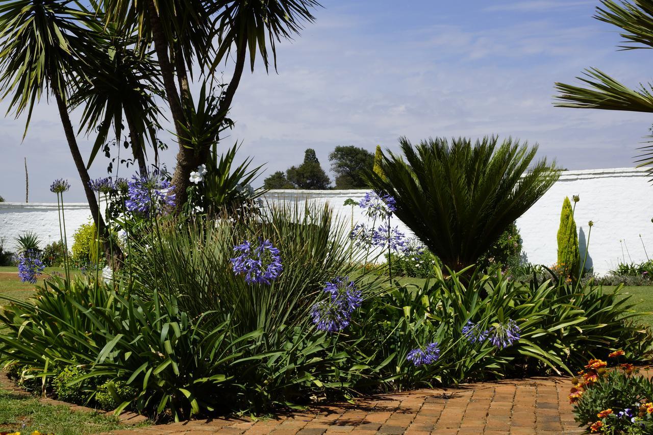 Blue Mango Lodge Kempton Park Extérieur photo